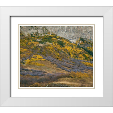 Sub-alpine Forest-Gothic Mountain-Colorado White Modern Wood Framed Art Print with Double Matting by Fitzharris, Tim