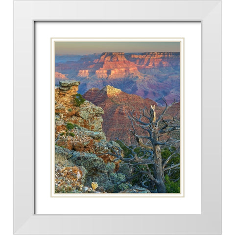 Desert View Overlook-Grand Canyon National Park-Arizona-USA White Modern Wood Framed Art Print with Double Matting by Fitzharris, Tim