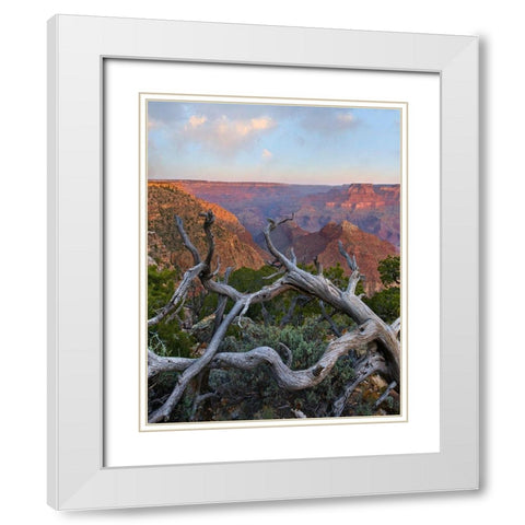 Desert View Overlook-Grand Canyon National Park-Arizona-USA White Modern Wood Framed Art Print with Double Matting by Fitzharris, Tim