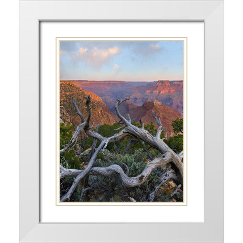 Desert View Overlook-Grand Canyon National Park-Arizona-USA White Modern Wood Framed Art Print with Double Matting by Fitzharris, Tim