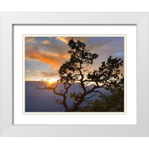 Yavapai Point-Grand Canyon National Park-Arizona-USA White Modern Wood Framed Art Print with Double Matting by Fitzharris, Tim