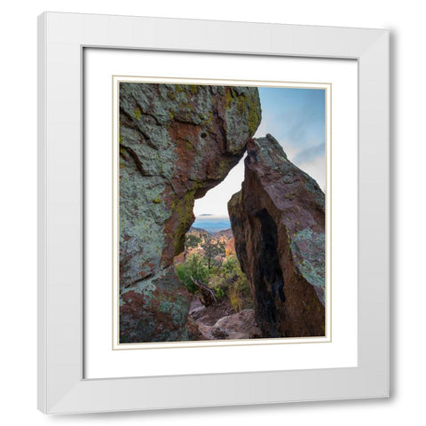 Echo Canyon Trail Chiricahua National Monument-Arizona-USA White Modern Wood Framed Art Print with Double Matting by Fitzharris, Tim