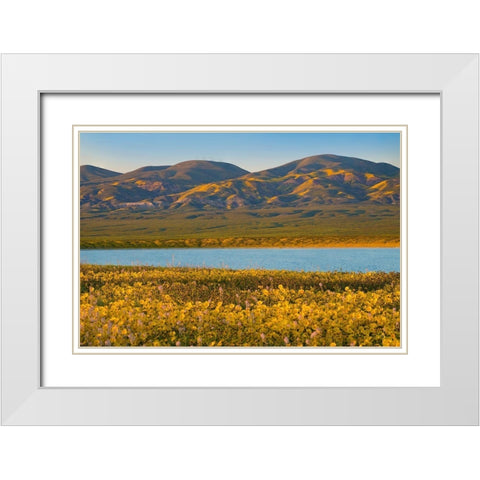 Temblor Range at Soda Lake -Carrizo Plain National Monument-California White Modern Wood Framed Art Print with Double Matting by Fitzharris, Tim