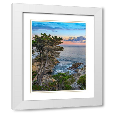 Pescdero Point-17-mile drive-Pebble-Beach-California-USA White Modern Wood Framed Art Print with Double Matting by Fitzharris, Tim