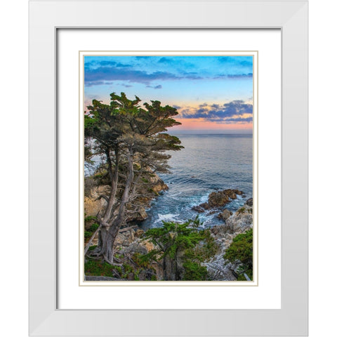 Pescdero Point-17-mile drive-Pebble-Beach-California-USA White Modern Wood Framed Art Print with Double Matting by Fitzharris, Tim