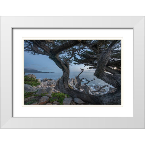 Pescdero Point-17-mile drive-Pebble-Beach-California-USA White Modern Wood Framed Art Print with Double Matting by Fitzharris, Tim