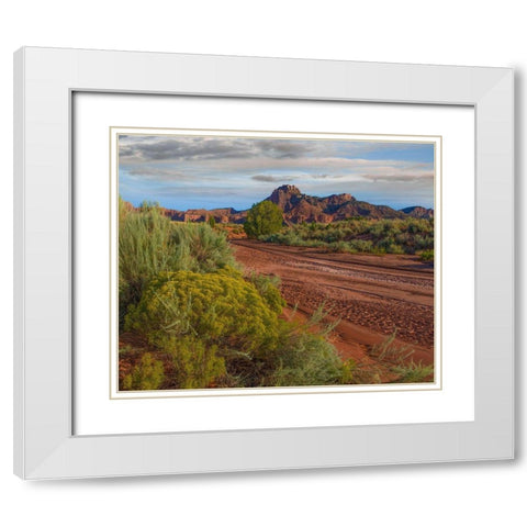 Vermillion Cliffs National Monument-Arizona-USA White Modern Wood Framed Art Print with Double Matting by Fitzharris, Tim