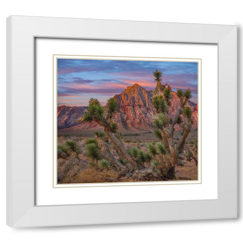 Spring Mountains at Red Rock Canyon National Conservation Area-Utah White Modern Wood Framed Art Print with Double Matting by Fitzharris, Tim