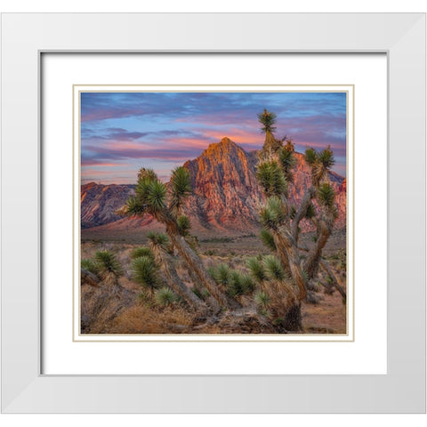 Spring Mountains at Red Rock Canyon National Conservation Area-Utah White Modern Wood Framed Art Print with Double Matting by Fitzharris, Tim