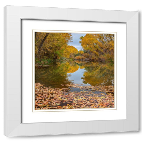 Verde River near Camp Verde-Arizona-USA White Modern Wood Framed Art Print with Double Matting by Fitzharris, Tim