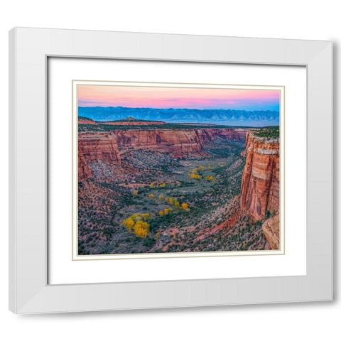 Ute Canyon-Colorado National Monument-Colorado White Modern Wood Framed Art Print with Double Matting by Fitzharris, Tim