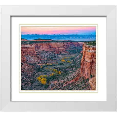 Ute Canyon-Colorado National Monument-Colorado White Modern Wood Framed Art Print with Double Matting by Fitzharris, Tim