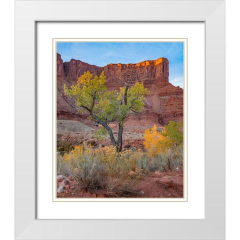 Sandstone Cliffs at Porcupine Canyon-Utah White Modern Wood Framed Art Print with Double Matting by Fitzharris, Tim