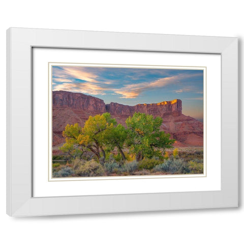 Sandstone Cliffs at Porcupine Canyon-Utah White Modern Wood Framed Art Print with Double Matting by Fitzharris, Tim