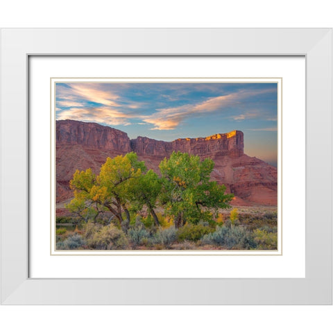 Sandstone Cliffs at Porcupine Canyon-Utah White Modern Wood Framed Art Print with Double Matting by Fitzharris, Tim