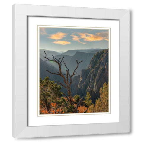 Tomichi Point-Black Canyon of the Gunnison National Park-Colorado White Modern Wood Framed Art Print with Double Matting by Fitzharris, Tim