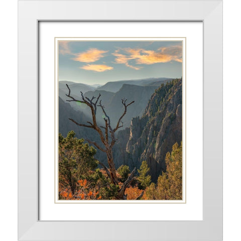 Tomichi Point-Black Canyon of the Gunnison National Park-Colorado White Modern Wood Framed Art Print with Double Matting by Fitzharris, Tim