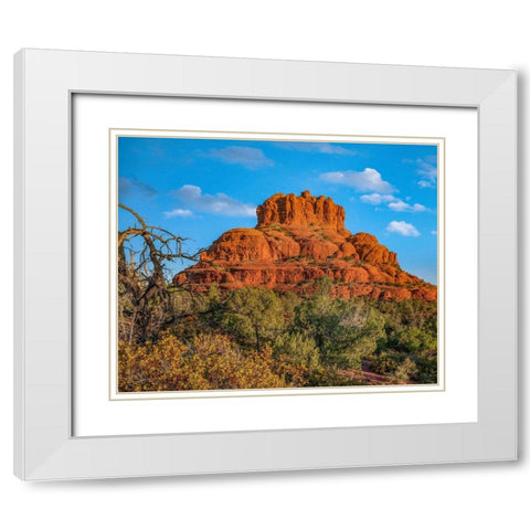 Bell Rock-Coconino National Forest near Sedona-Arizona-USA White Modern Wood Framed Art Print with Double Matting by Fitzharris, Tim