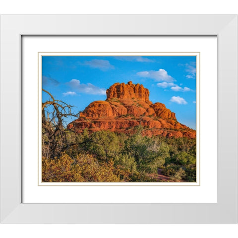 Bell Rock-Coconino National Forest near Sedona-Arizona-USA White Modern Wood Framed Art Print with Double Matting by Fitzharris, Tim