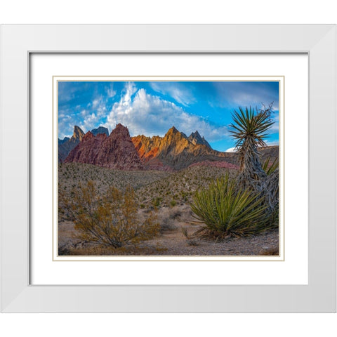 Red Rock Canyon National Conservation Area-Nevada-USA  White Modern Wood Framed Art Print with Double Matting by Fitzharris, Tim