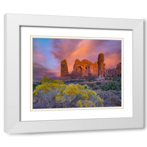 Parade of the Elephants Sandstone Formation-Arches National Park-Utah White Modern Wood Framed Art Print with Double Matting by Fitzharris, Tim