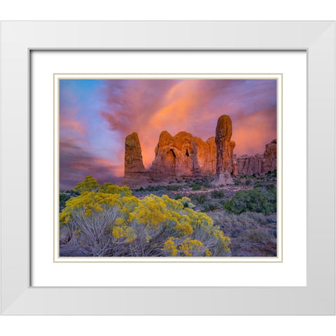 Parade of the Elephants Sandstone Formation-Arches National Park-Utah White Modern Wood Framed Art Print with Double Matting by Fitzharris, Tim