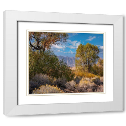 Sierra Nevada-Owens Valley-California-USA White Modern Wood Framed Art Print with Double Matting by Fitzharris, Tim