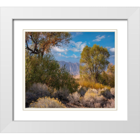 Sierra Nevada-Owens Valley-California-USA White Modern Wood Framed Art Print with Double Matting by Fitzharris, Tim