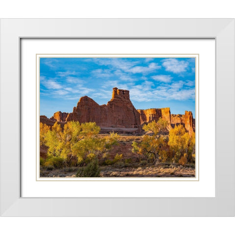 Courthouse Towers from Courthouse Wash-Arches National Park-Utah White Modern Wood Framed Art Print with Double Matting by Fitzharris, Tim