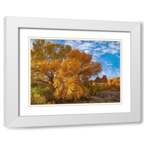 Courthouse Towers from Courthouse Wash-Arches National Park-Utah White Modern Wood Framed Art Print with Double Matting by Fitzharris, Tim