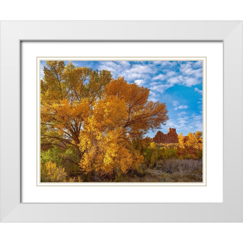 Courthouse Towers from Courthouse Wash-Arches National Park-Utah White Modern Wood Framed Art Print with Double Matting by Fitzharris, Tim