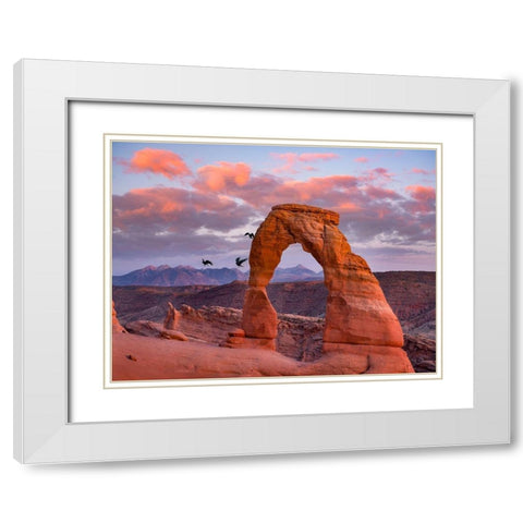 Delicate Arch-Arches National Park-Utah-USA White Modern Wood Framed Art Print with Double Matting by Fitzharris, Tim