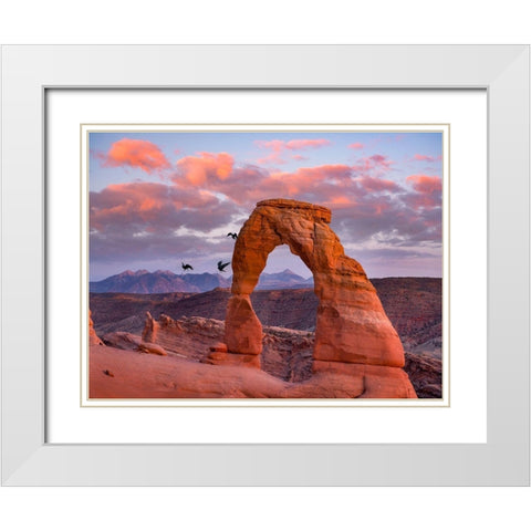 Delicate Arch-Arches National Park-Utah-USA White Modern Wood Framed Art Print with Double Matting by Fitzharris, Tim