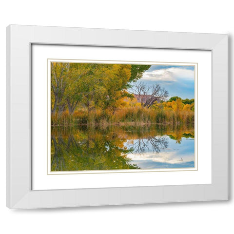 Lagoon Reflection-Dead Horse Ranch State Park-Arizona-USA White Modern Wood Framed Art Print with Double Matting by Fitzharris, Tim