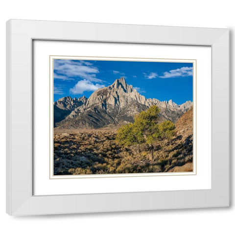 Lone Pine Peak-Eastern Sierra-California White Modern Wood Framed Art Print with Double Matting by Fitzharris, Tim