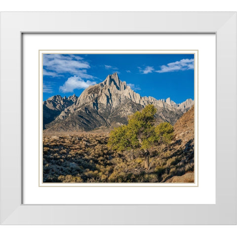 Lone Pine Peak-Eastern Sierra-California White Modern Wood Framed Art Print with Double Matting by Fitzharris, Tim