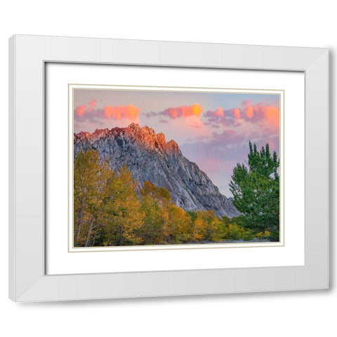 Mount Tom-Eastern Sierra-California-USA White Modern Wood Framed Art Print with Double Matting by Fitzharris, Tim