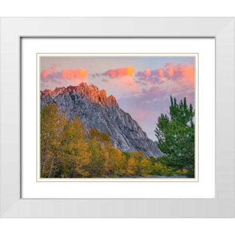 Mount Tom-Eastern Sierra-California-USA White Modern Wood Framed Art Print with Double Matting by Fitzharris, Tim