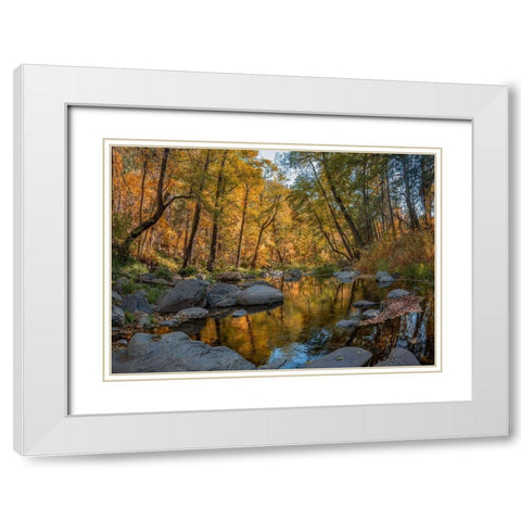 Oak Creek near Sedona-Arizona-USA White Modern Wood Framed Art Print with Double Matting by Fitzharris, Tim