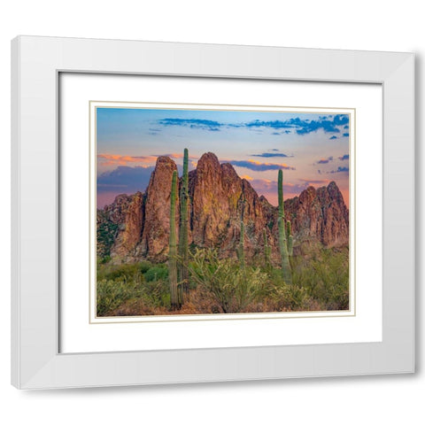 Usury Mountains from Tortilla Flat-Arizona-USA White Modern Wood Framed Art Print with Double Matting by Fitzharris, Tim