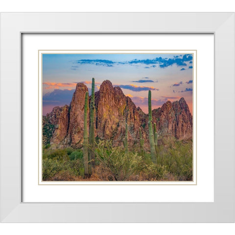 Usury Mountains from Tortilla Flat-Arizona-USA White Modern Wood Framed Art Print with Double Matting by Fitzharris, Tim