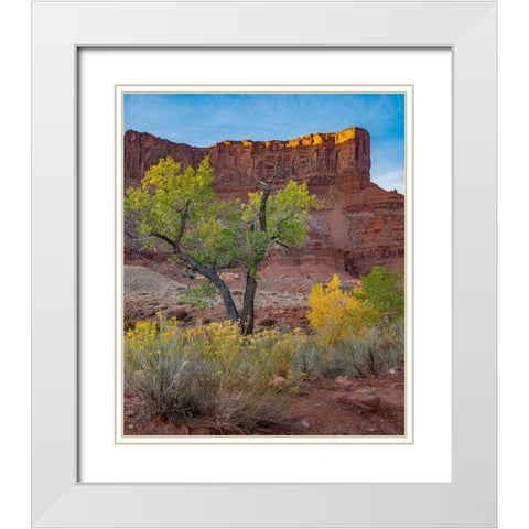 Porcupine Canyon on Colorado River near Castle Valley-Utah White Modern Wood Framed Art Print with Double Matting by Fitzharris, Tim