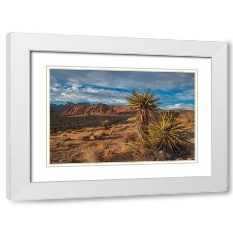 Red Rock Canyon National Conservation Area near Las Vegas-Nevada White Modern Wood Framed Art Print with Double Matting by Fitzharris, Tim