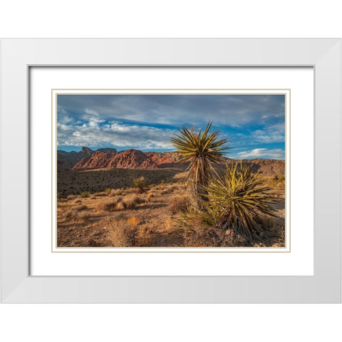 Red Rock Canyon National Conservation Area near Las Vegas-Nevada White Modern Wood Framed Art Print with Double Matting by Fitzharris, Tim