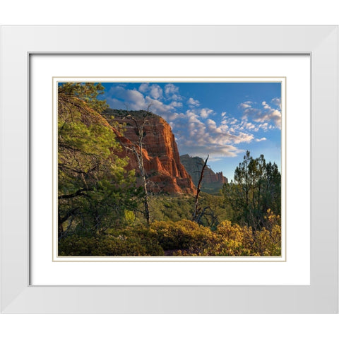 Coconino National Forest near Sedona-Arizona-USA White Modern Wood Framed Art Print with Double Matting by Fitzharris, Tim