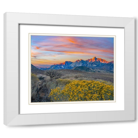 Sierra Nevada from Owens Valley-California-USA White Modern Wood Framed Art Print with Double Matting by Fitzharris, Tim