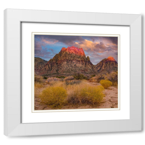 Spring Mountains-Red Rock Canyon National Conservation Area-Nevada White Modern Wood Framed Art Print with Double Matting by Fitzharris, Tim