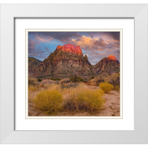 Spring Mountains-Red Rock Canyon National Conservation Area-Nevada White Modern Wood Framed Art Print with Double Matting by Fitzharris, Tim