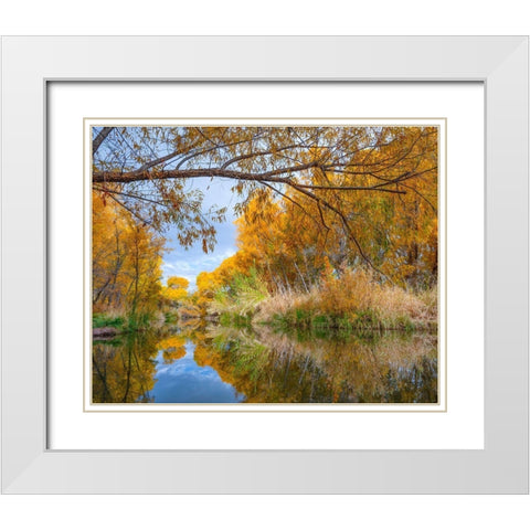 Verde River near Camp Verde-Arizona-USA White Modern Wood Framed Art Print with Double Matting by Fitzharris, Tim