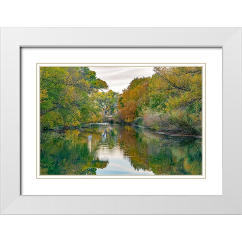 Verde River near Camp Verde-Arizona-USA White Modern Wood Framed Art Print with Double Matting by Fitzharris, Tim